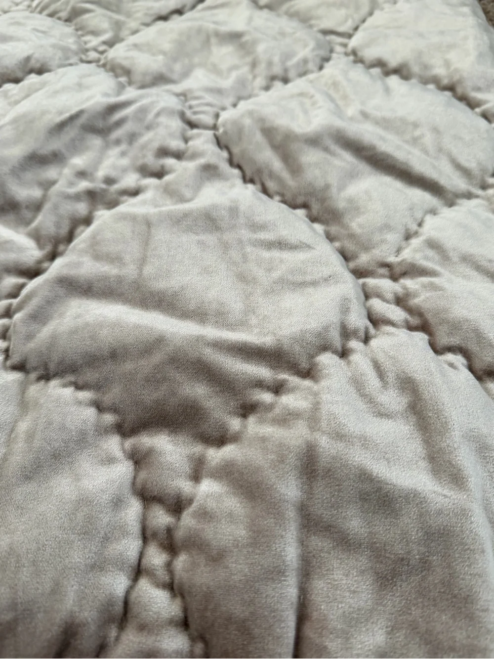 New anthropologie Claire cotton velvet satin euro sham champagne beige 26 x 26